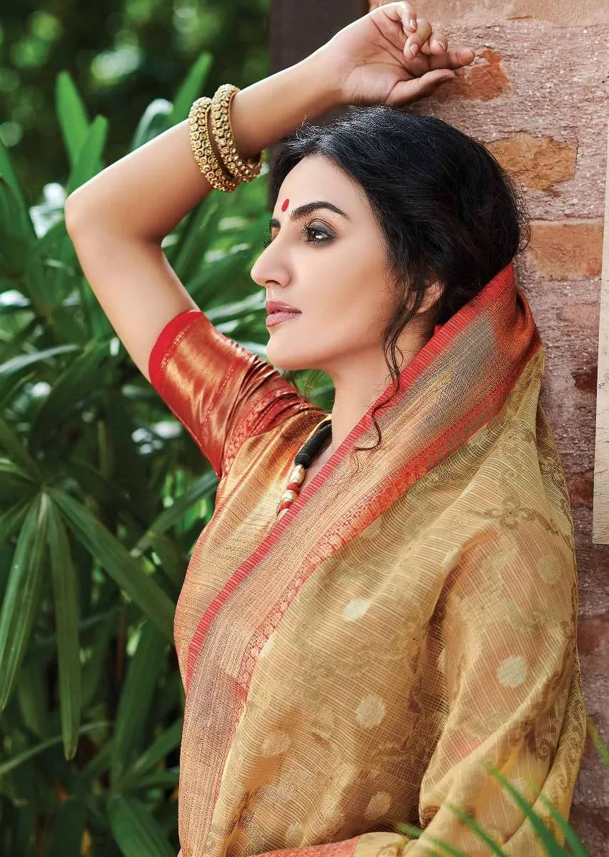 Latte Beige Banarasi Saree In Jacquard Silk With Weaved Moroccan Jaal And Coral Border Online - Kalki Fashion